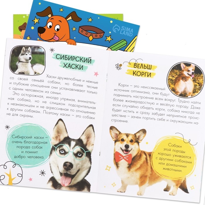 Набор 3 в 1 «Лучший друг», 3 книги, пазл, игрушка Набор 3 в 1 «Лучший друг», 3 книги, пазл, игрушка