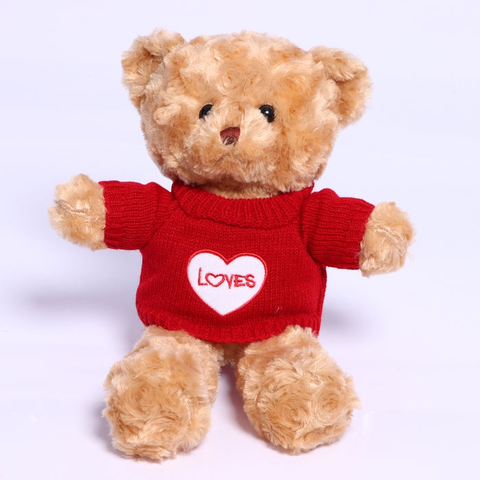 Мягкая игрушка «Мишка в футболке», 30 см, цвета МИКС Мягкая игрушка «Мишка в футболке», 30 см, цвета МИКС