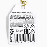 Новый год! Леденец на палочке, в форме змеи «Чудес в новом году», 35 г Новый год! Леденец на палочке, в форме змеи «Чудес в новом году», 35 г