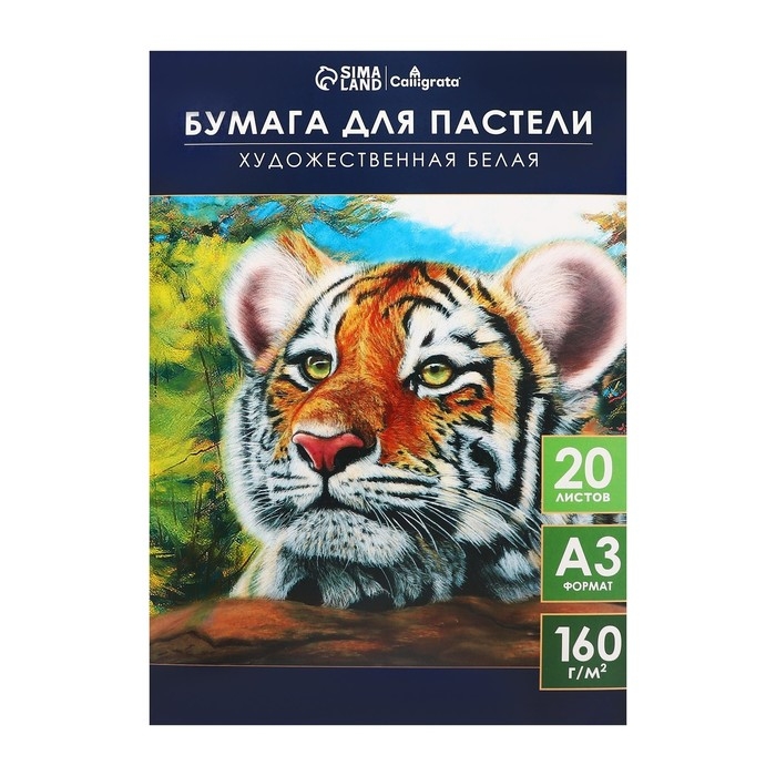 Бумага для пастели А3, 20 листов Бумага для пастели А3, 20 листов "Тигр", блок 160 г/м2, в папке