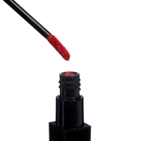 Премиальный набор для макияжа губ