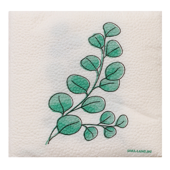 Салфетки бумажные однослойные Салфетки бумажные однослойные "Эко" эвкалипт 24х24 см, набор 20 шт.