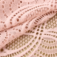 Кружевная эластичная ткань, 180 мм &times; 2,7 &plusmn; 0,5 м, цвет розово-бежевый