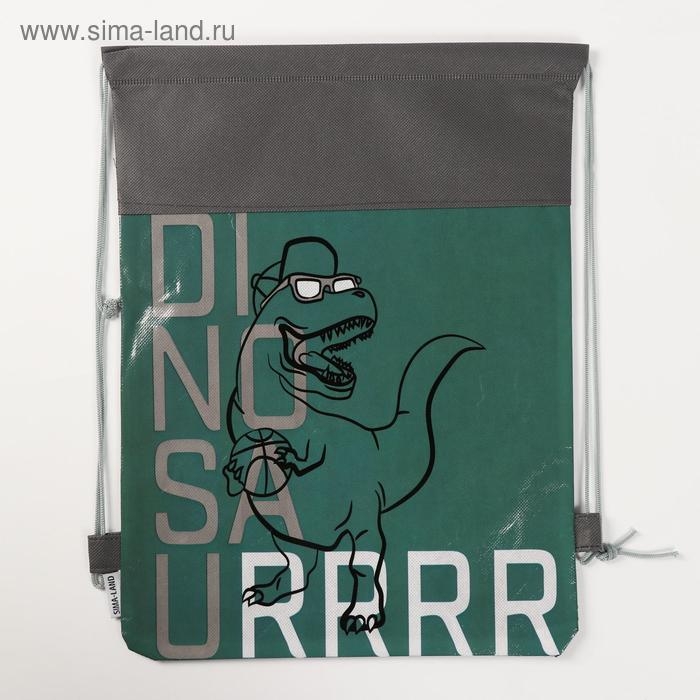 Мешок для обуви &laquo;Динозавр&raquo; 30 х 40 см