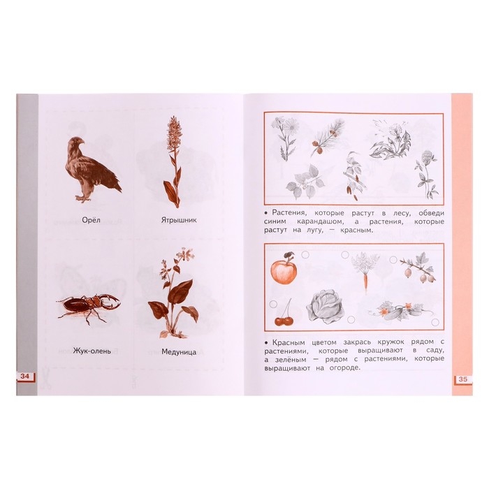 Рабочая тетрадь. ФГОС. Окружающий мир, новое оформление, 1 класс, №2. Ивченкова Г. Г. Рабочая тетрадь. ФГОС. Окружающий мир, новое оформление, 1 класс, №2. Ивченкова Г. Г.