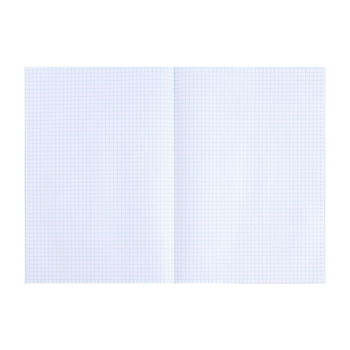 Книга учета, 96 листов, обложка картон 7Б, блок ОФСЕТ, клетка, цвет зеленый (имитация) Книга учета, 96 листов, обложка картон 7Б, блок ОФСЕТ, клетка, цвет зеленый (имитация)