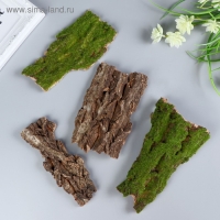 Кора дерева для декора "Blumentag" (набор 4 шт) Кора дерева для декора "Blumentag" (набор 4 шт)