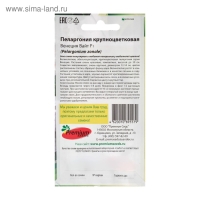 Семена цветов Пеларгония "Венеция Вайт" , крупноцветковая, F1, О, 5 шт Семена цветов Пеларгония "Венеция Вайт" , крупноцветковая, F1, О, 5 шт