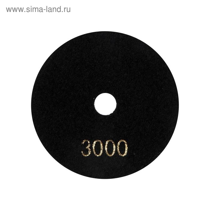 Алмазный гибкий шлифовальный круг ТУНДРА Алмазный гибкий шлифовальный круг ТУНДРА "Черепашка", для сухой шлифовки, 100 мм, № 3000