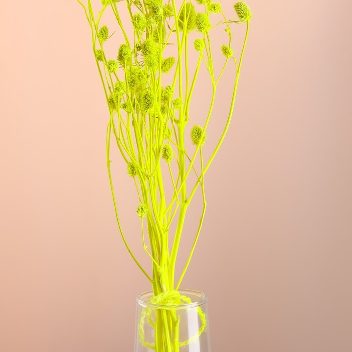 Набор сухоцветов "Эрингиум", банч 5 шт, длина 55 (+/- 6 см), ярко-желтый