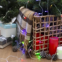 Гирлянда &laquo;Нить&raquo; 2.5 м, IP20, прозрачная нить, 25 LED, свечение RG/RB, мигание, 220 В