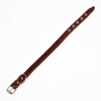 Ошейник кожаный с тиснением на синтепоне, 46 х 2 см, ОШ 25-35 см, коричневый Ошейник кожаный с тиснением на синтепоне, 46 х 2 см, ОШ 25-35 см, коричневый