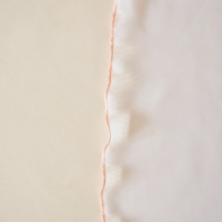 Комплект штор для кухни Witerra Мальва 280х150см, персик, пэ100%