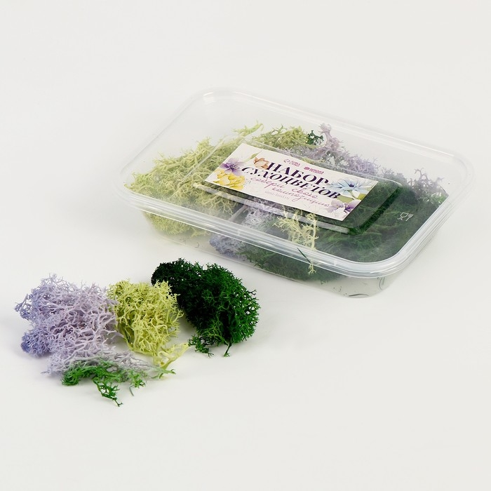 Набор сухоцветов &laquo;Мох&raquo;, цвет МИКС