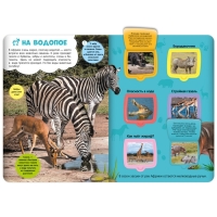 Книжка с окошками &laquo;Саванна&raquo;