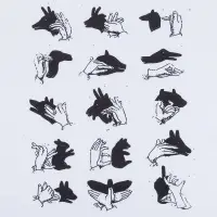 Футболка женская &laquo;Неочевидное&raquo;, белая, размер L