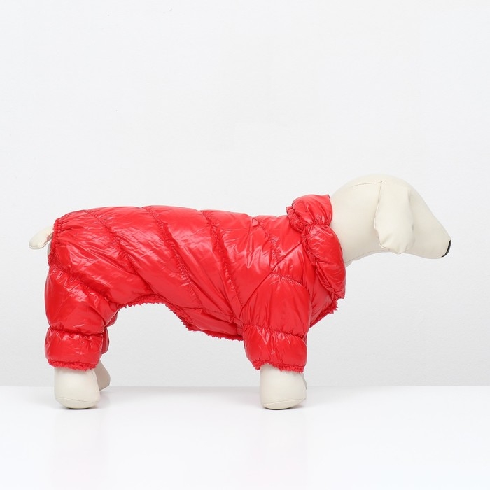 Комбинезон "Блеск", размер XS (ДС 19 см, ОГ 28, ОШ 19 см, до 3 кг), красный