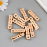 Декор для творчества дерево "Прищепка - Светлой Пасхи!" набор 10 шт Декор для творчества дерево "Прищепка - Светлой Пасхи!" набор 10 шт