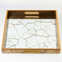 Поднос пластиковый прямоугольный с зеркалом &laquo;Узоры&raquo;, 37 х 37 х 4,5 см сервировочный