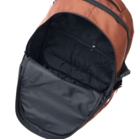 Рюкзак молодёжный Stavia, 40 х 28 х 18 см, эргономичная спинка, Stavia "Город-1", коричневый Рюкзак молодёжный Stavia, 40 х 28 х 18 см, эргономичная спинка, Stavia "Город-1", коричневый