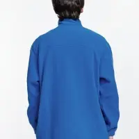 Куртка мужская North, ярко-синяя (royal), размер S