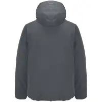 Куртка софтшелл с капюшоном мужская Falcon Men, темно-серая, размер L