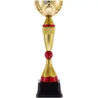 Кубок Awardee, средний, красный