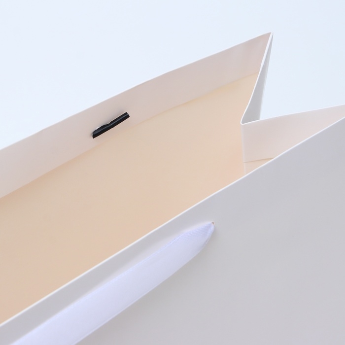 Пакет ламинированный горизонтальный &laquo;Белый&raquo;, L 40 &times; 31 &times; 14 см