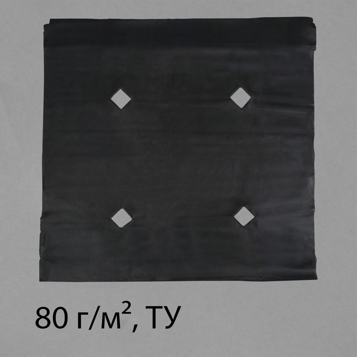 Материал мульчирующий, с перфорацией, 10 × 1,6 м, плотность 80 г/м², спанбонд с УФ-стабилизатором, чёрный, Greengo, Эконом 30% Материал мульчирующий, с перфорацией, 10 × 1,6 м, плотность 80 г/м², спанбонд с УФ-стабилизатором, чёрный, Greengo, Эконом 30%