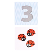 Развивающий набор &laquo;Тактильные цифры&raquo;, 3+