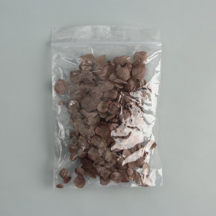 Набор для создания поддона из гипса с сухоцветами &laquo;Круг&raquo;