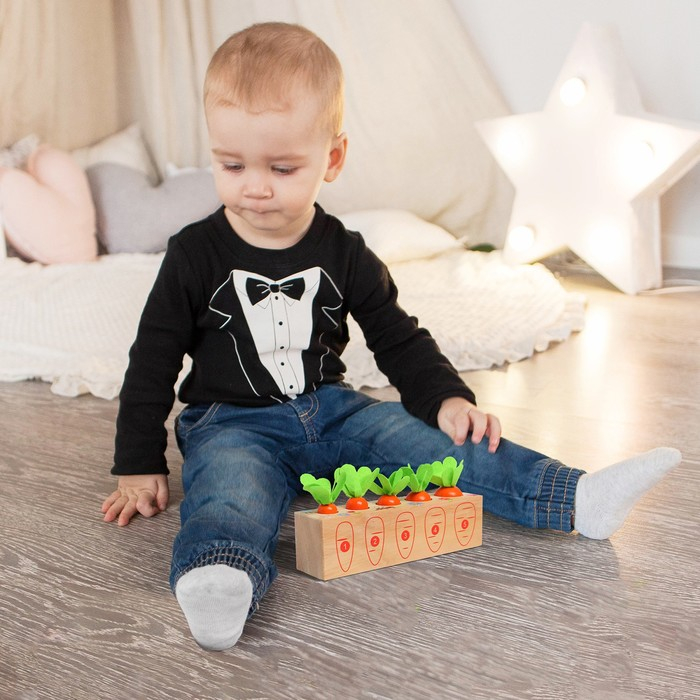 Развивающий набор &laquo;Посади разные морковки&raquo; 20 &times; 5,5 &times; 5 см