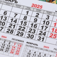 Календарь моно на магните "Символ года - 2" 2025 год, 15 х 21 см Календарь моно на магните "Символ года - 2" 2025 год, 15 х 21 см