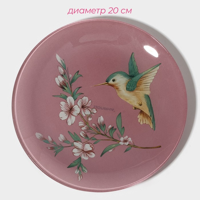 Набор тарелок стеклянных Доляна &laquo;Колибри&raquo;, 19 предметов: 6 десертных тарелок, 6 обеденных тарелок, 6 мисок, салатник