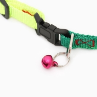 Ошейник "Радуга", 33 х 1 см, полиэстер, микс цветов Ошейник "Радуга", 33 х 1 см, полиэстер, микс цветов