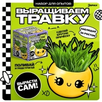 Набор для опытов, для детей &laquo;Выращиваем травку&raquo;, растение в горшочке - эмодзи &laquo;Милый&raquo;