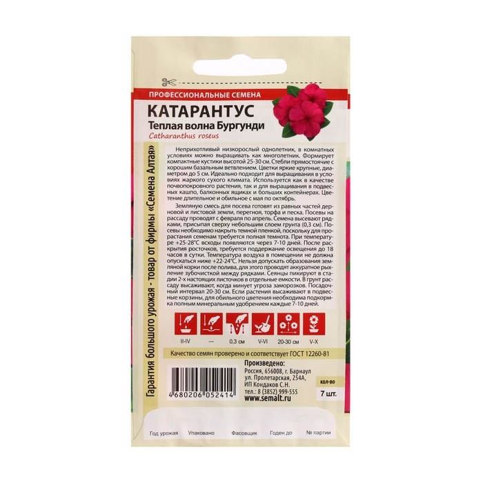 Семена цветов Катарантус "Теплая волна", бургунди, 5 шт