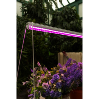 Фитосветильник светодиодный Uniel, 11 Вт, 572 мм, IP20, 220 В, мультиспектральный, с выкл. Фитосветильник светодиодный Uniel, 11 Вт, 572 мм, IP20, 220 В, мультиспектральный, с выкл.