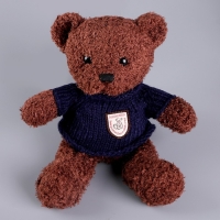 Мягкая игрушка &laquo;Медведь&raquo; в кофте, 28 см, цвет МИКС