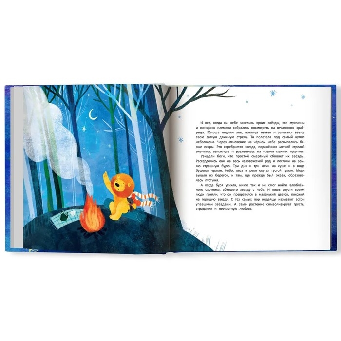 Книжка &laquo;Как львёнок и мышонок звезды искали&raquo;, Федулова А. А.