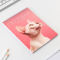 Скетчбук А5, 40 л 100 г/м2 «Кошка» Скетчбук А5, 40 л 100 г/м2 «Кошка»