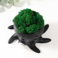 Кашпо бетонное "Осминог" высота 7 см, d-6,5 см черный с белой лапкой со мхом (мох зел,стаб) Кашпо бетонное "Осминог" высота 7 см, d-6,5 см черный с белой лапкой со мхом (мох зел,стаб)