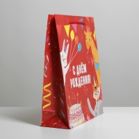 Пакет подарочный ламинированный, упаковка, &laquo;С Днем Рождения&raquo;, ML 21 х 25 х 8 см