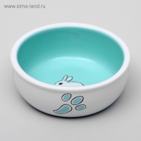 Миска керамическая для кроликов 200 мл 10 х 3,7 см, бело-зеленая Миска керамическая для кроликов 200 мл 10 х 3,7 см, бело-зеленая