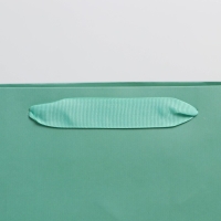 Упаковка, пакет подарочный ламинированный, &laquo;Тиффани&raquo;, M 26 х 30 х 9 см