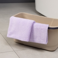 Тряпка для пола Raccoon, 220 г/м², 60×80 см, микрофибра, ультразвуковая обработка края, 2 шт, цвет сиреневый Тряпка для пола Raccoon, 220 г/м², 60×80 см, микрофибра, ультразвуковая обработка края, 2 шт, цвет сиреневый