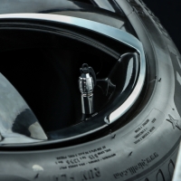 Колпачок на вентиль TORSO граната, хром, набор 4 шт Колпачок на вентиль TORSO граната, хром, набор 4 шт