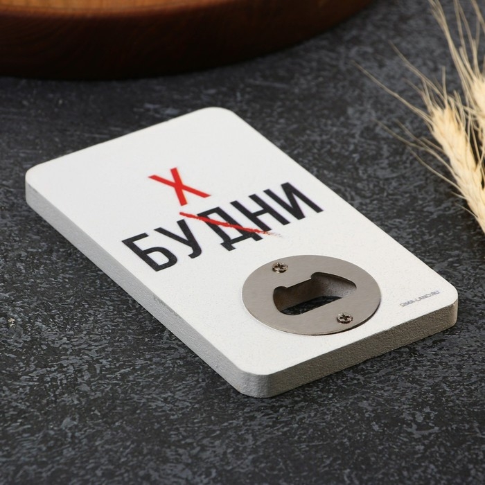 Открывашка для пива &laquo;Будни&raquo;, 8х13.8 см
