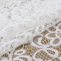 Кружевная эластичная ткань, 220 мм &times; 2,7 &plusmn; 0,5 м, цвет белый