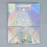 Пакет голографический &laquo;Тепла&raquo;, MS 18 х 23 х 10 см, Новый год